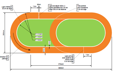 2008-10-30-taz-piste